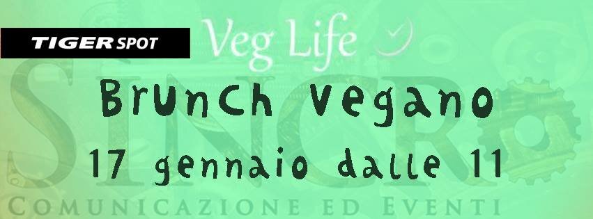 10868147_1549699861934896_4070093091800877884_n