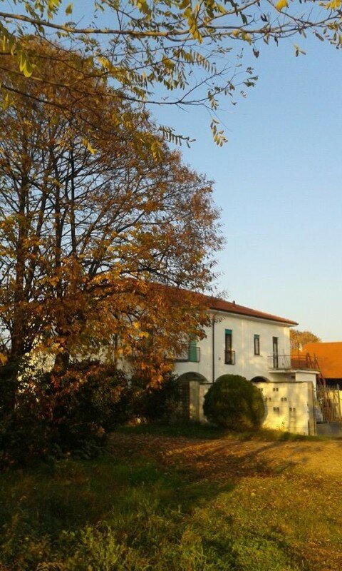 12208817_862040933910606_433747311197986975_n